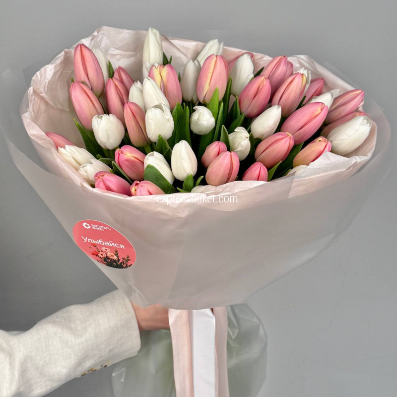 Тюльпаны бело-розовые 19 штук