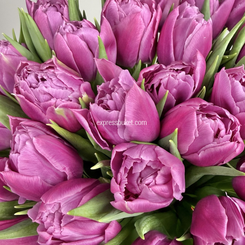 Фиолетовый букет с тюльпанами